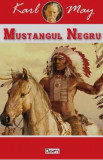 Mustangul negru - Karl May