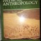 Physical anthropology: the core/ Philip L. Stein, Bruce M. Rowe