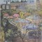COSTACHE AGAFITEI-ADRIANA BOBU-216795