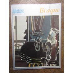 BRAQUE GRANDS PEINTRES