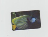 bnk card Cartele telefonice - Romania Romtelecom 2005 - Sea Fauna 6 - ol:RO-ROM-0293