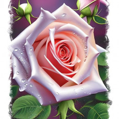 Sticker decorativ, Trandafir, Roz, 85 cm, 9820ST