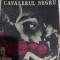 Cavalerul Negru - Christian Tamaș