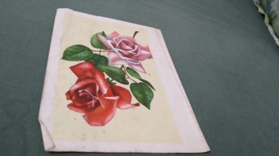 TELEGRAMA FELICITARE CIRCULATA foto