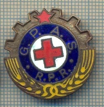 Y 762 INSIGNA -G.P.A.S. -RPR -GATA PENTRU APARAREA SANITARA -PENTRU COLECTIONARI foto