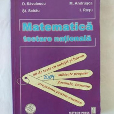 D. Savulescu St. Sabau M. Andrusca I. Rosu - Matematica - testarea nationala 2004