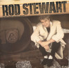 VINIL Rod Stewart &lrm;&ndash; Rod Stewart (VG), Pop