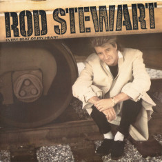 VINIL Rod Stewart ‎– Rod Stewart (VG)