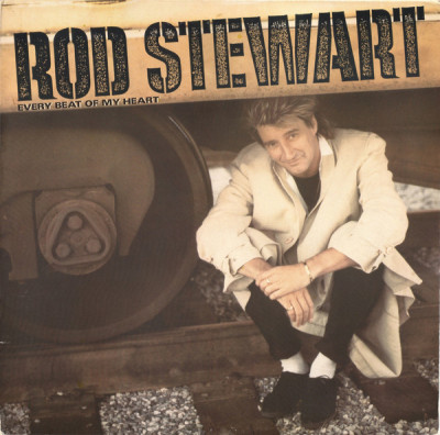 VINIL Rod Stewart &amp;lrm;&amp;ndash; Rod Stewart (VG) foto