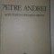 Petre Andrei. Activitatea, conceptia, opera- Mircea Maciu