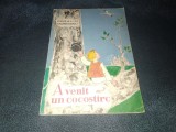 RUSALIN MURESANU - A VENIT UN COCOSTARC