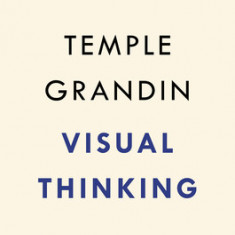 Visual Thinking: The Hidden Gifts of People Who Think in Pictures, Patterns, and Abstractions