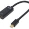 Adaptor DisplayPort 1.2 la HDMI 1.3 0.15m Negru