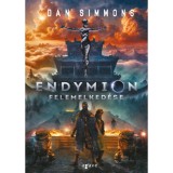 Endymion felemelked&eacute;se - Dan Simmons