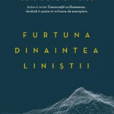 Furtuna dinaintea linistii - Neale Donald Walsch