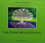 Daniela Andreescu - Sub pomul de scortisoara (Editia: 2013)