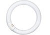 Tub Fluorescent Circular OSRAM G10Q, 32W, 840C, 2180 lm, 4008321581143