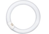 Tub Fluorescent Circular OSRAM G10Q, 32W, 840C, 2180 lm, 4008321581143