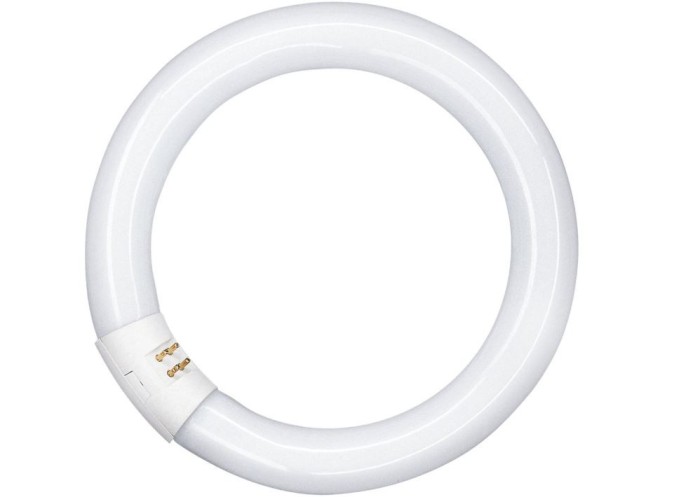 Tub Fluorescent Circular OSRAM G10Q, 32W, 840C, 2180 lm, 4008321581143