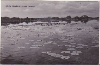bnk cp Delta Dunarii - Lacul Tatarului - necirculata foto