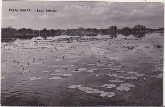 bnk cp Delta Dunarii - Lacul Tatarului - necirculata