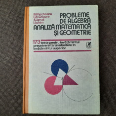 M BECHEANU Probleme de algebra, analiza matematica si geometriE 173 TESTE