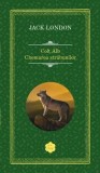 Cumpara ieftin Colt Alb. Chemarea strabunilor/Jack London, Rao
