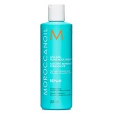 Sampon Moroccanoil Repair pentru par deteriorat 250ml