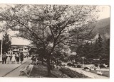 CPIB 18100 CARTE POSTALA - VEDERE DIN SLANIC MOLDOVA, RPR