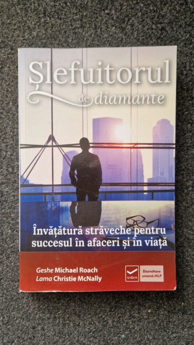 SLEFUITORUL DE DIAMANTE - Roach, Mcnally