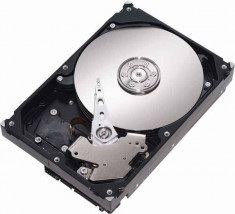 Hard disk Seagate ST325031CS 250 GB SATA II 7200 Rpm - Resigilat foto