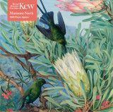 Adult Jigsaw Kew Gardens&#039; Marianne North: Honeyflowers and Honeysuckers: 1000 Piece Jigsaw