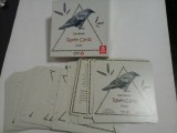 RAVEN CARDS - ORACLE - Gabi Bucker (carti - oracol)