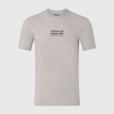 Red Bull Racing tricou de bărbați Graphic Bull grey F1 Team 2026 - XL