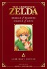 The Legend of Zelda: Legendary Edition, Vol. 2: Oracle of Seasons &amp; Ages - Manga Akira Himekawa, Battle for Hyrule