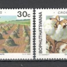 Bophutatswana.1988 Produse agricole DF.26