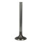 Intake valve (45.4x10x136.6mm) fits: ZETOR