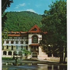 CPI B 11017 CARTE POSTALA - SINAIA. VILA CARAIMAN