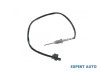 Senzor temperatura gaze dpf BMW X1 (2009-&gt;) [E84] #1