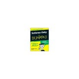 Sarbanes-Oxley for Dummies