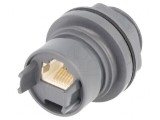 Conector RJ45 Buccaneer 6000 Cat 5e