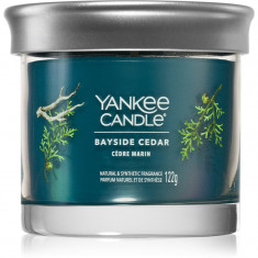 Yankee Candle Bayside Cedar lumânare parfumată I. 122 g