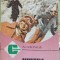 MUNTELE IZVOR DE SANATATE-ARCADIE PERCEK-220023