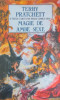 MAGIE DE AMBE SEXE-TERRY PRATCHETT