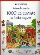 Primele mele 1000 de cuvinte in limba engleza foto