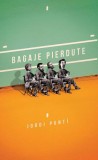 Bagaje pierdute - Roman Paperback - Jordi Punt&iacute; - Editura Curtea Veche