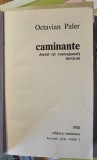 Cartea Caminante