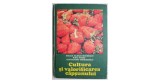 Cultura si valorificarea capsunului Alexandru Teodorescu