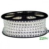 Banda LED 220V 4.8W/m IP65, 60 LED/m, 2835, 6400K, Lumina Rece. Ideal Reclame Luminoase, Interior/Exterior, Delight