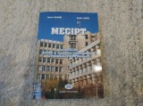 MECIPT. &Icirc;nceputurile Științei și Ingineriei Calculatoarelor la Politehnica Timișoara. Horia Gligor și Sabin Ionel